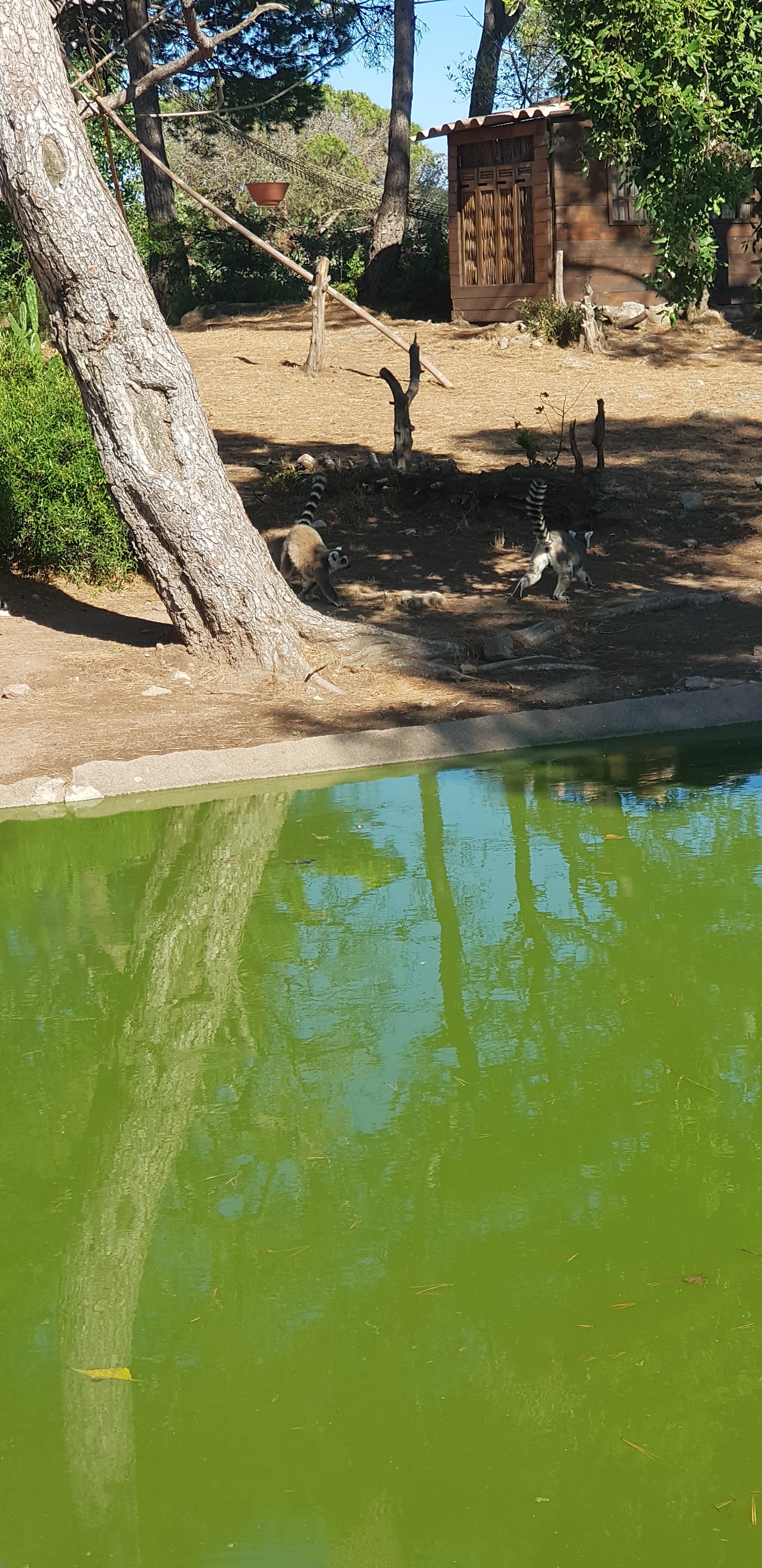 Photo n° 24 de l'avis de stephanie.a fait le 05/08/2018 à 15:29