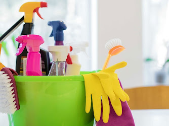 Town & Country Cleaning Services