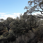 Photo n°1 de l'avis de Marianne.e fait le 27/09/2017 à 17:45 sur le  Zmar Eco Experience à A de Mateus