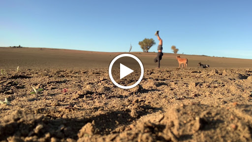 Yoga Studio «Spotted Dog Yoga», reviews and photos, 2780 E Bidwell St #300, Folsom, CA 95630, USA