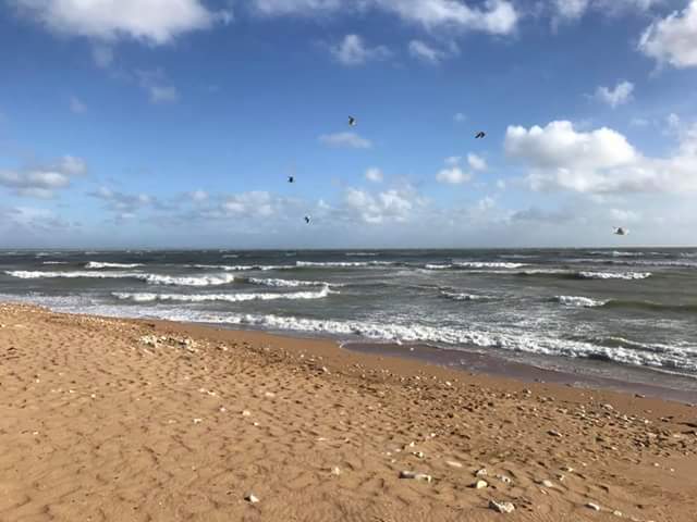 Photo n° 5 de l'avis de Emma.l fait le 18/11/2017 à 16:22