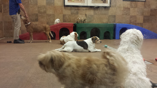 Pet Supply Store «PetSmart», reviews and photos, 4465 US-14, Crystal Lake, IL 60014, USA