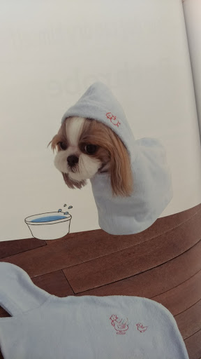 Fabric Store «Jo-Ann Fabrics and Crafts», reviews and photos, 245 Tamal Vista Blvd, Corte Madera, CA 94925, USA