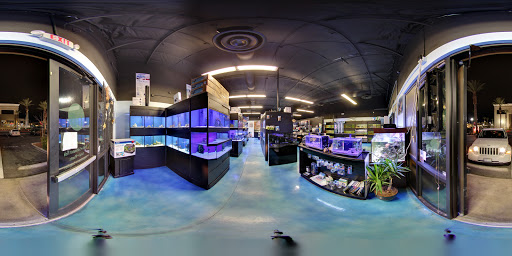 Tropical Fish Store «Pisces Reef Fish Emporium, LLC», reviews and photos, 9326 W Sahara Ave, Las Vegas, NV 89117, USA