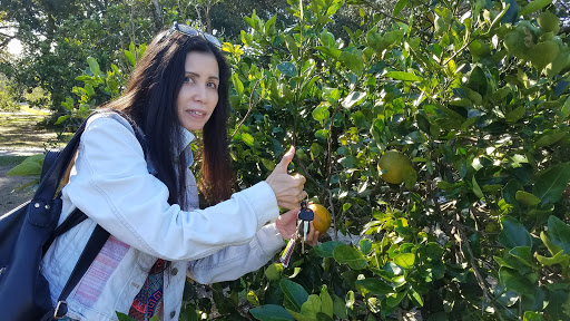 Farm «Butrico Groves Orange Grove», reviews and photos, 6065 Magnolia St, Mims, FL 32754, USA