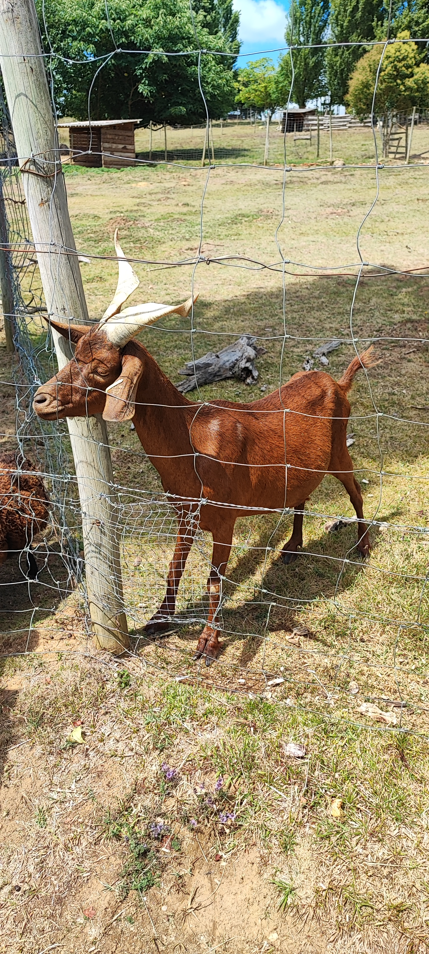 Photo n° 6 de l'avis de Florence.e fait le 15/08/2023 à 17:20