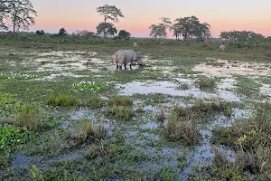 Kaziranga National Park image