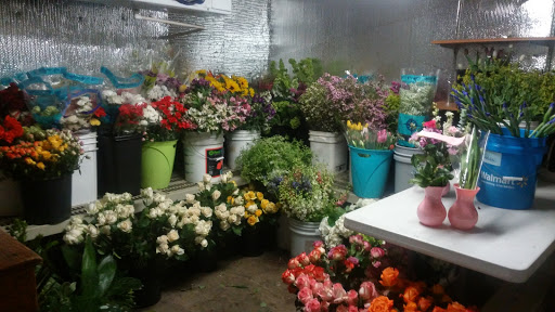 Florist «Glendale Flowers and Gifts», reviews and photos, 7145 N 58th Dr, Glendale, AZ 85301, USA