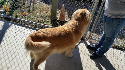 Animal Shelter «Humane Society of Atlantic County», reviews and photos, 1401 Absecon Blvd, Atlantic City, NJ 08401, USA