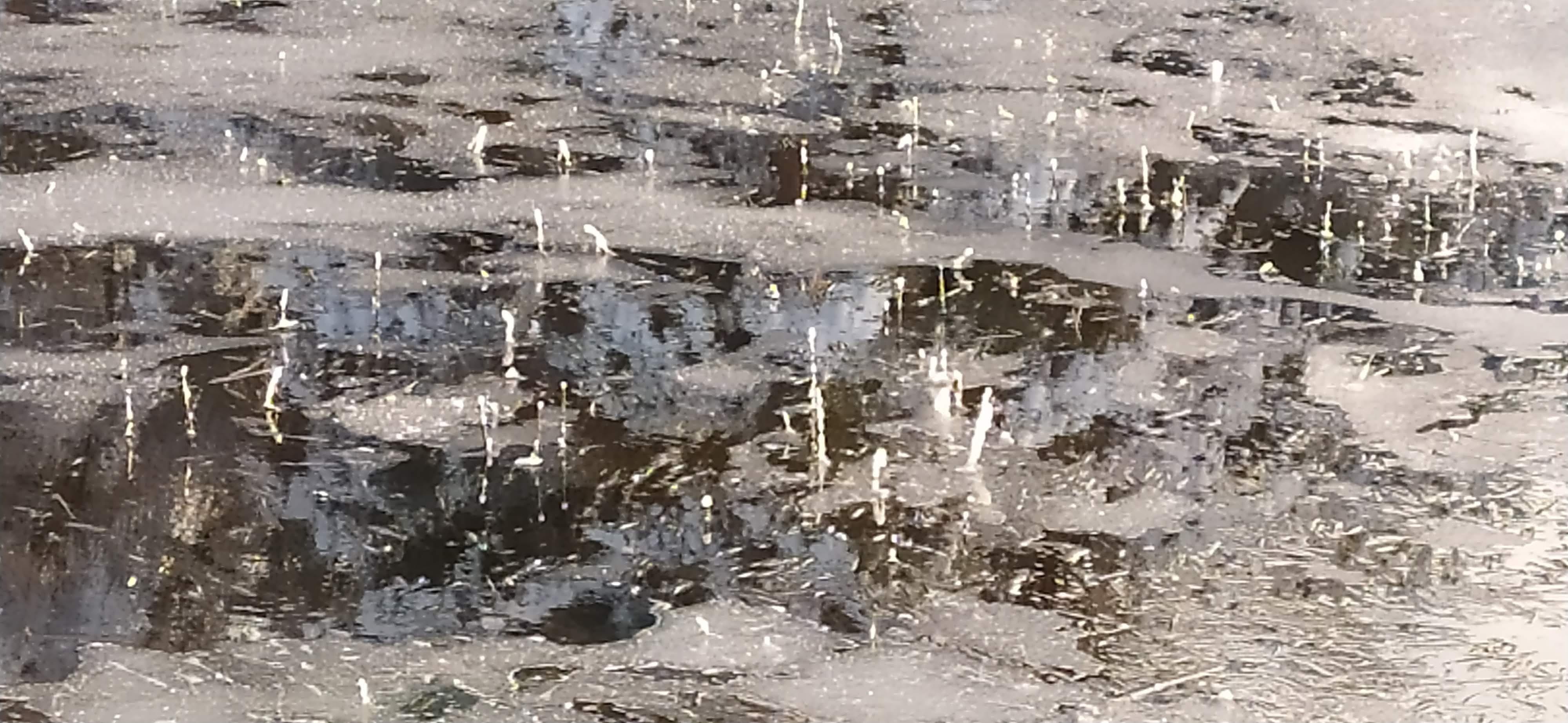 Photo n° 2 de l'avis de J'M. fait le 14/03/2021 à 06:16