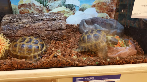 Pet Supply Store «PetSmart», reviews and photos, 47142 Michigan Ave, Canton, MI 48188, USA