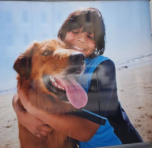 Pet Supply Store «Petco Animal Supplies», reviews and photos, 2910 Wilshire Blvd, Santa Monica, CA 90403, USA