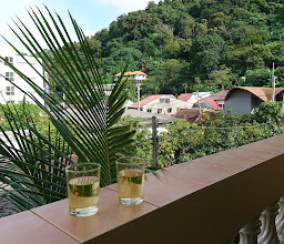 Kataview Guesthouse photo