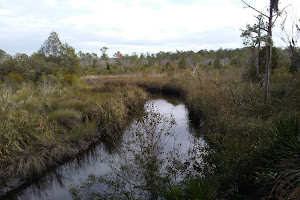 Seaton Creek Preserve – Main Entrance & Trailhead