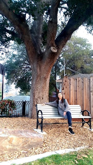 Mariposa Park - photo 48