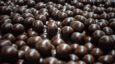 Chocolatier Patissier Siat Thierry à Saint-Firmin