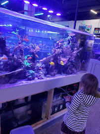 Blue Fish Aquariums - Photo 6 - Car repair in Cleveland, OH, Cleveland
