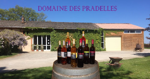 Domaine des Pradelles à Vacquiers