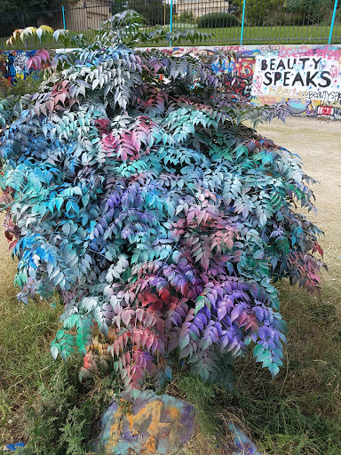 Art Gallery «HOPE Outdoor Gallery», reviews and photos, 1101 Baylor St, Austin, TX 78703, USA