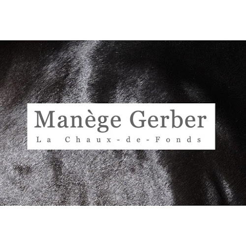 Rezensionen über Manège Gerber in La Chaux-de-Fonds - Reisebüro