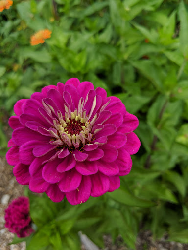 Grocery Store «Good Earth Market & Organic Farm», reviews and photos, 31806 Good Earth Ln, Ocean View, DE 19970, USA