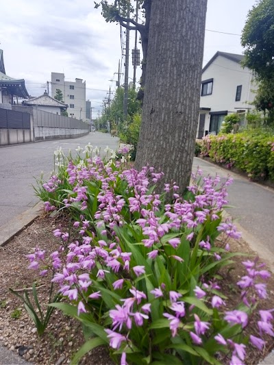 ㈱サトー印刷