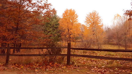 Nature Preserve «Stage Nature Center», reviews and photos, 6685 Coolidge Hwy, Troy, MI 48098, USA