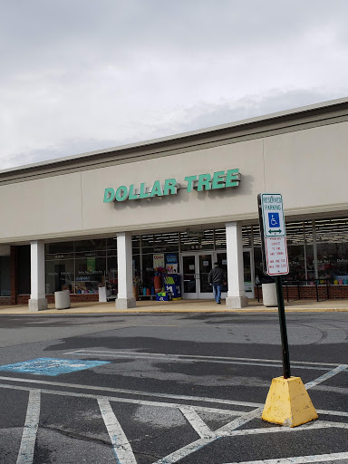 Dollar Store «Dollar Tree», reviews and photos, 45 Constitution Blvd, Kutztown, PA 19530, USA