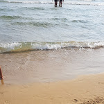 Photo n°1 de l'avis de Maria.i fait le 12/01/2022 à 20:51 sur le  Ristorante CYCAS à Gaeta