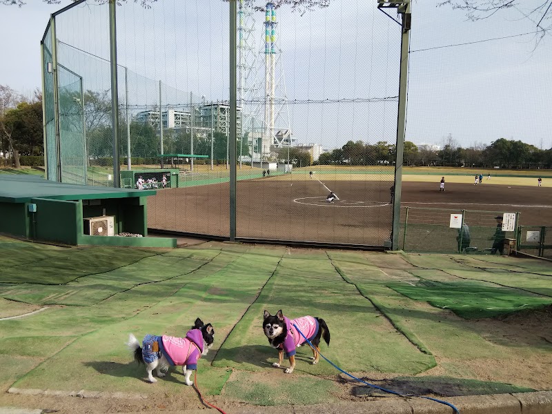 玉島の森 岡山県倉敷市玉島乙島 公園 グルコミ
