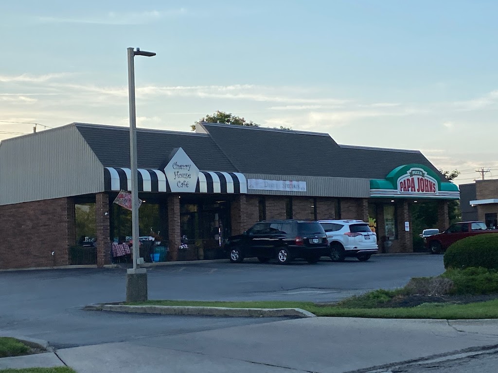 Papa Johns Pizza 45434