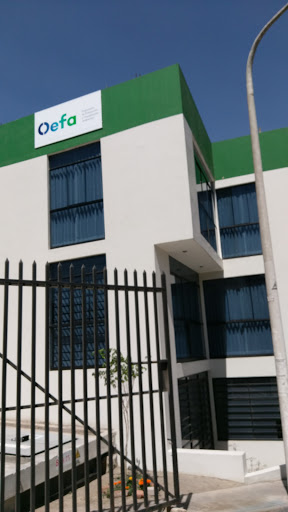 Organismo de Evaluación y Fiscalización Ambiental - OEFA