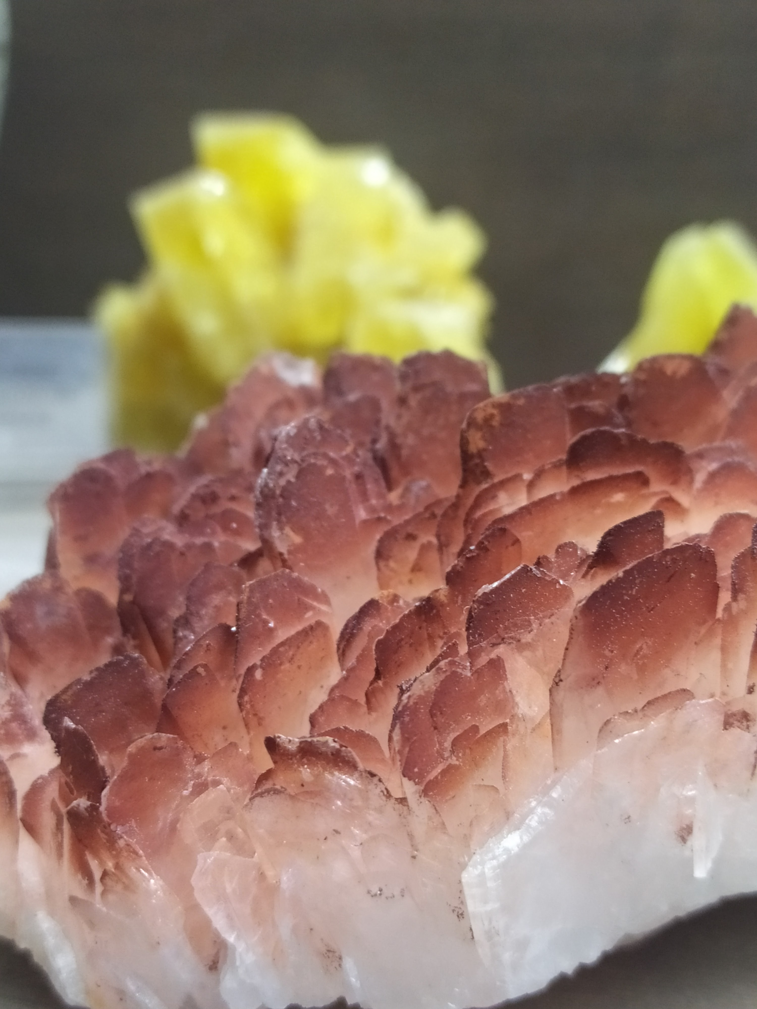 Photo n° 11 de l'avis de Céline.r fait le 20/02/2020 à 17:52