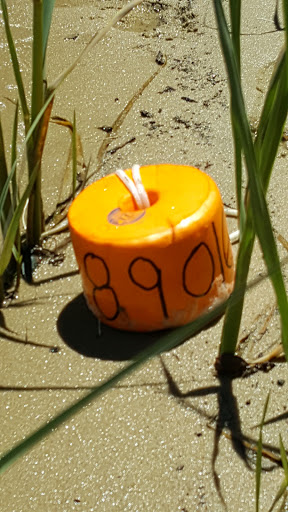 Nature Preserve «Wye Island Natural Resources Management Area», reviews and photos, 632 Wye Island Rd, Queenstown, MD 21658, USA