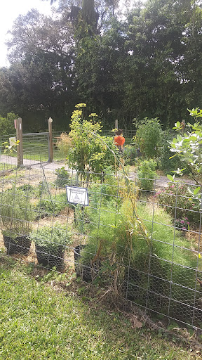 Museum «Old Davie School Historical Museum», reviews and photos, 6650 Griffin Rd, Davie, FL 33314, USA