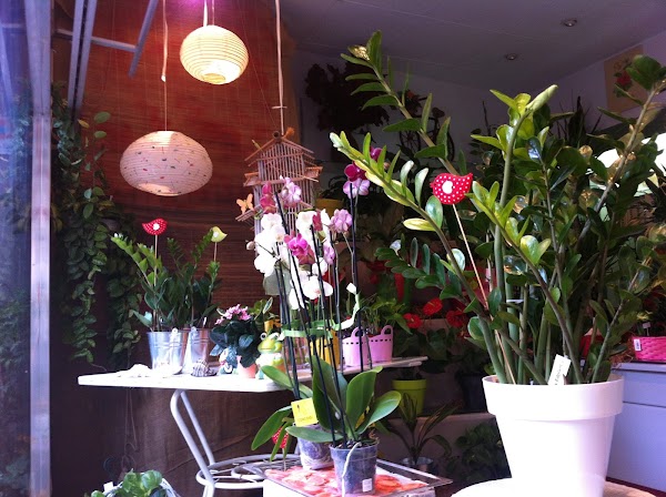 Floristería Sala