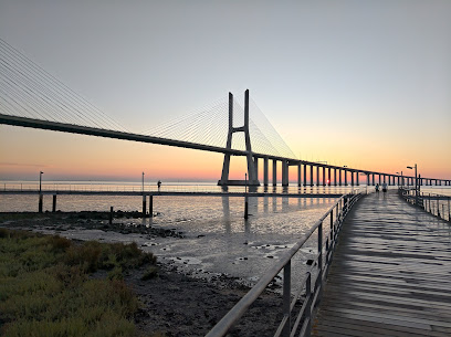 Parque Tejo