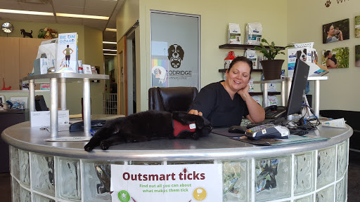 Woodridge Veterinary Clinic image