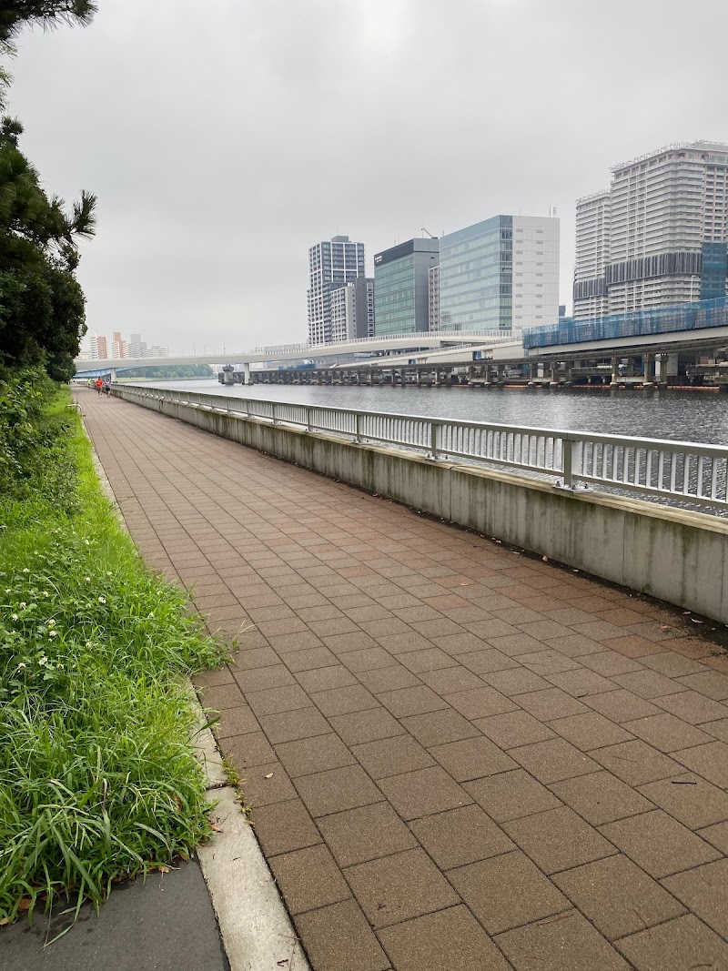 京浜運河緑道公園(北側)