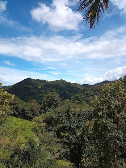 Cerro El Capiro