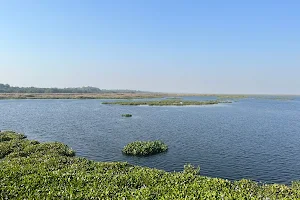 Haiderpur Wetland image