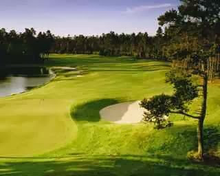 Golf Course «Sandpines Golf Links», reviews and photos, 1201 35th St, Florence, OR 97439, USA