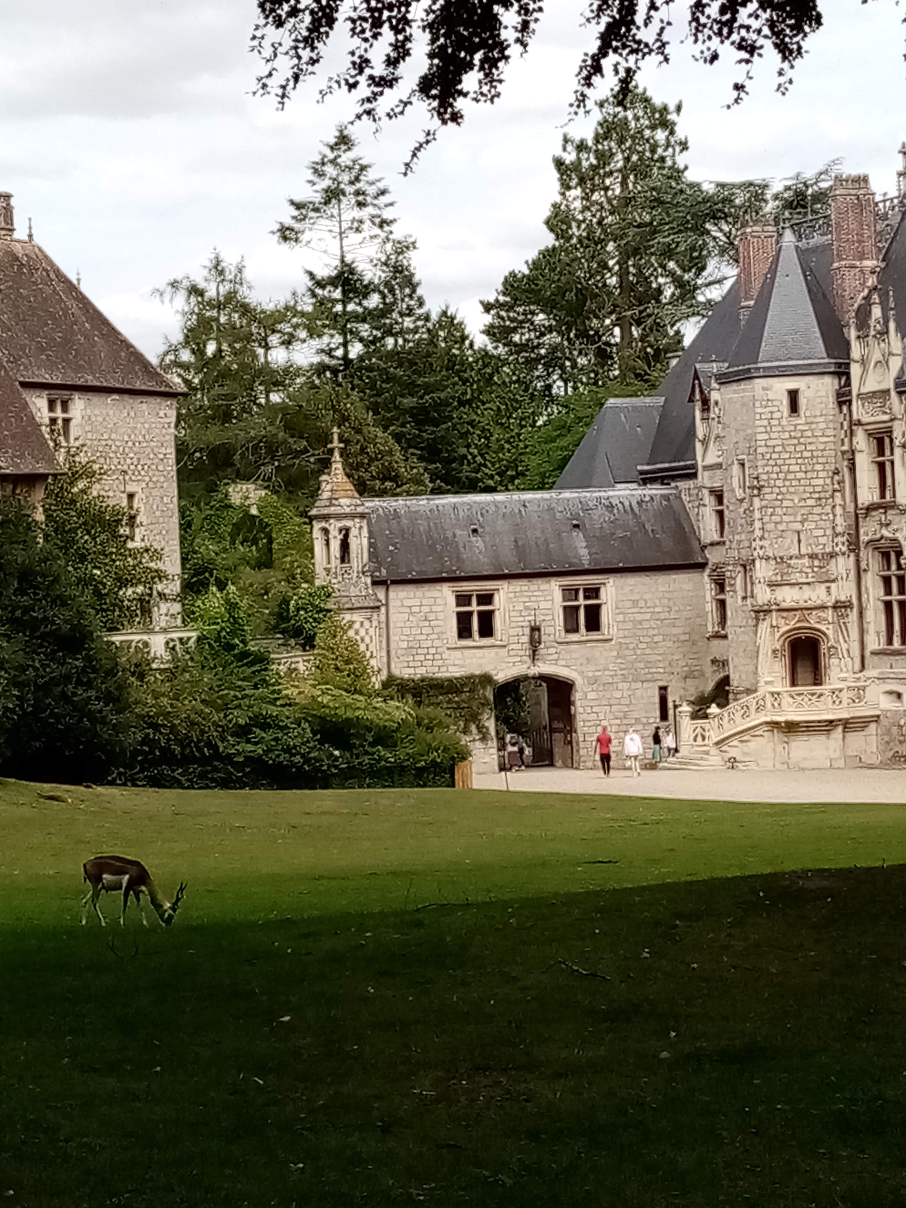 Photo n° 17 de l'avis de Marielaure.a fait le 25/07/2023 à 19:08