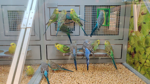 Pet Store «PetSmart», reviews and photos, 160 Passaic Ave #5, Kearny, NJ 07032, USA