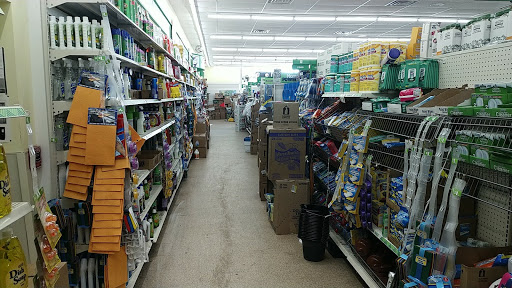 Dollar Store «Dollar Tree», reviews and photos, 13 Washington Ave, Belleville, NJ 07109, USA