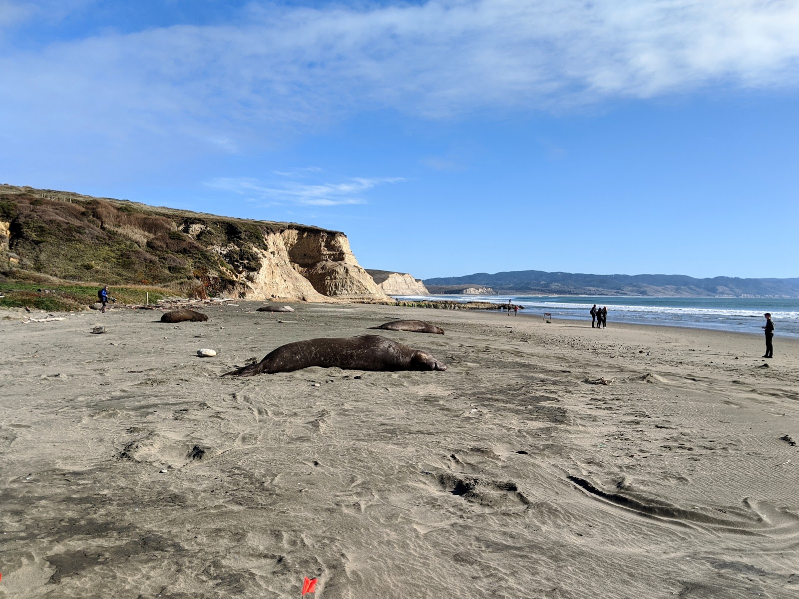 Foto von Drake beach mit lange, gerade küste