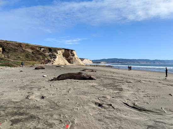Drake beach