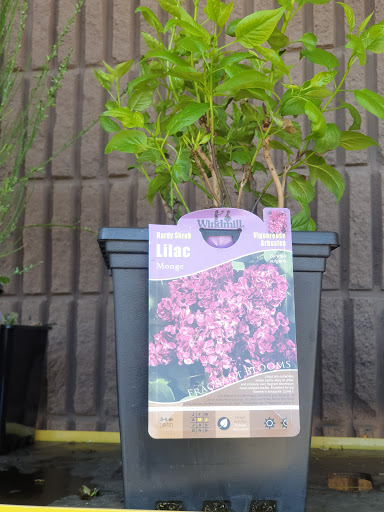 Hardware Store «Harbor Freight Tools», reviews and photos, 3179 Erie Blvd E, Syracuse, NY 13214, USA