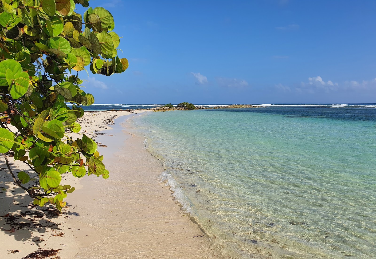 The Beach of Caravelle photo #9