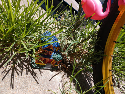 Bar «The Proletariat Gallery & Public House», reviews and photos, 2221 Market St #100, Galveston, TX 77550, USA